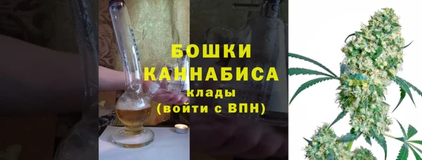 гидра Арсеньев