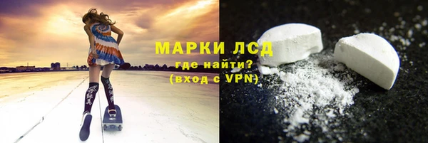 ГАЛЛЮЦИНОГЕННЫЕ ГРИБЫ Аркадак