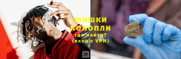 ГАЛЛЮЦИНОГЕННЫЕ ГРИБЫ Аркадак