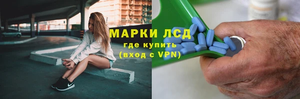 гидра Арсеньев