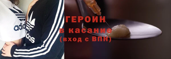 гидра Арсеньев