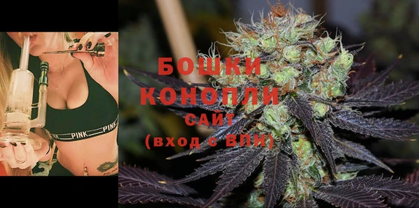 ГАЛЛЮЦИНОГЕННЫЕ ГРИБЫ Аркадак