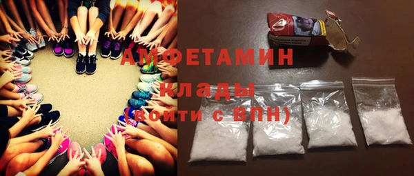 ГАЛЛЮЦИНОГЕННЫЕ ГРИБЫ Аркадак