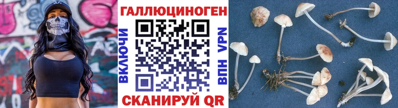 Галлюциногенные грибы мухоморы  даркнет как зайти  Рыбное 